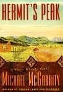 Michael McGarrity Hermit_s Peak обложка книги