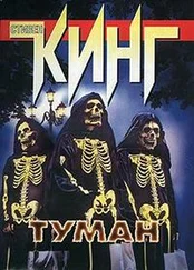 Стивен Кинг - Туман