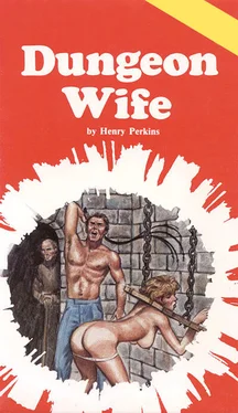 Henry Perkins Dungeon wife обложка книги