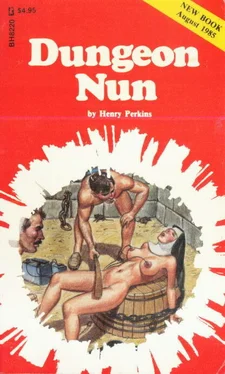 Henry Perkins Dungeon nun обложка книги