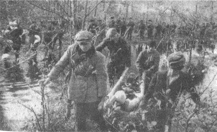 Партизаны Зимойвесной 1942 г их отряды сражались плечом к плечу с - фото 18