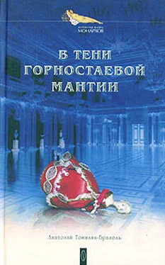 Анатолий Томилин-Бразоль В тени горностаевой мантии обложка книги