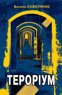 Василий Кожелянко Тероріум обложка книги
