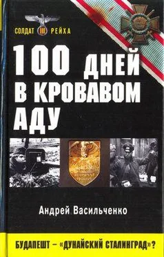 Андрей Васильченко 100 дней в кровавом аду. Будапешт — «дунайский Сталинград»? обложка книги