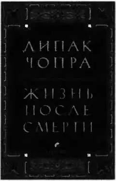 Жизнь после смерти Эта книга глубокое и эмоциональное исследование - фото 6