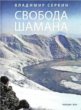 Владимир Серкин Свобода Шамана обложка книги