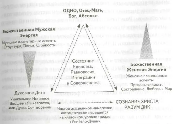 Когда сознание Бога и сознание ДНК общаются открывается судьба После того как - фото 9