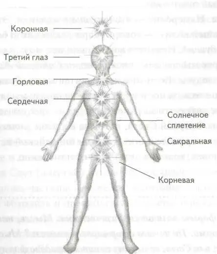 Семь чакр человека Корневая чакра расположена в основании позвоночника центр - фото 12
