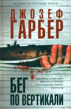 Джозеф Гарбер Бег по вертикали обложка книги