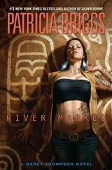 Patricia Briggs - River Marked
