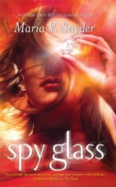 Maria Snyder Spy Glass обложка книги