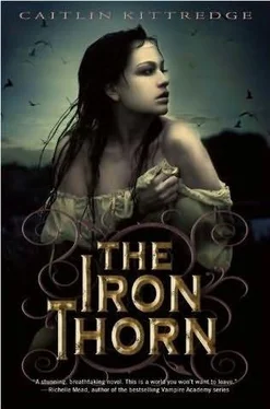 Caitlin Kittredge The Iron Thorn обложка книги