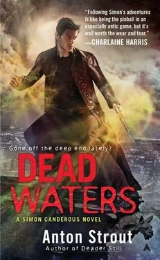 Anton Strout Dead Waters обложка книги