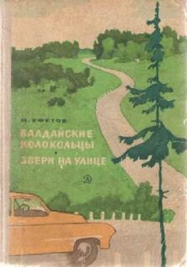 Марк Ефетов Валдайские колокольцы обложка книги