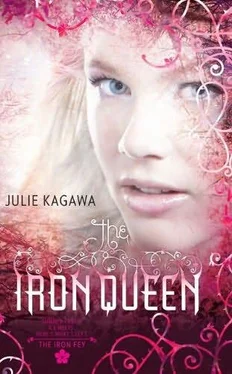 Julie Kagawa The Iron Queen обложка книги