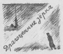Народу в нашем доме осталось мало А мужчин и совсем раздва и обчёлся Дядя - фото 20