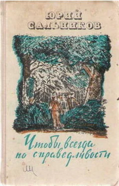 Юрий Сальников БУПШ действует! обложка книги