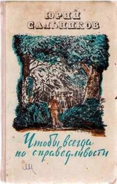 Юрий Сальников Под солнцем горячим обложка книги