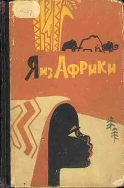 Лидия Некрасова Я из Африки обложка книги