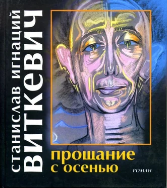 Станислав Виткевич Прощание с осенью обложка книги