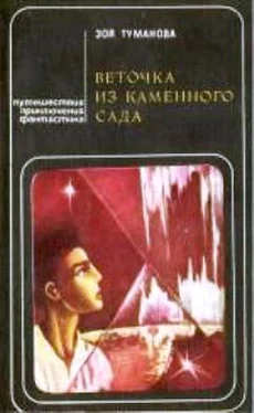 Зоя Туманова Веточка из каменного сада (сборник) обложка книги