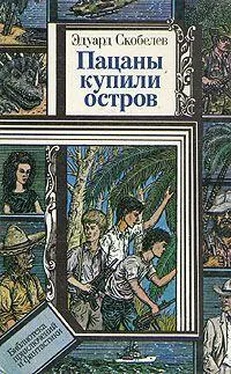 Эдуард Скобелев Пацаны купили остров обложка книги