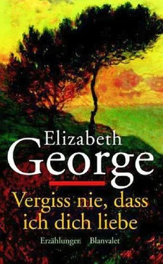 Elizabeth George Vergiss nie, dass ich dich liebe обложка книги