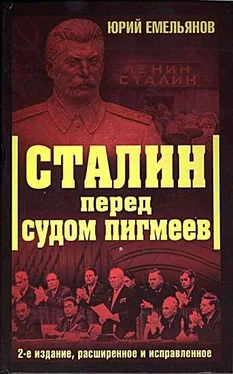 Юрий Емельянов Сталин перед судом пигмеев обложка книги