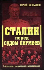 Юрий Емельянов - Сталин перед судом пигмеев