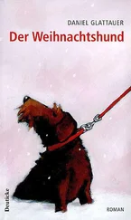 Daniel Glattauer - Der Weihnachtshund