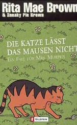 Rita Brown - Die Katze lässt das Mausen nicht