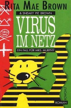 Rita Brown Virus im Netz обложка книги