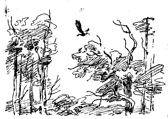 Когда в 1962 году замечательный русский художник Сергей Тимофеевич Коненков - фото 36