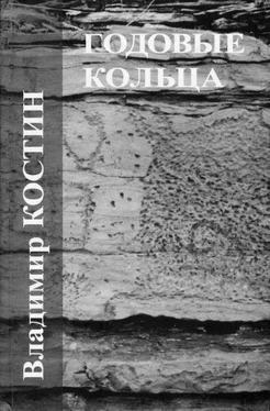 Владимир Костин Стихия обложка книги