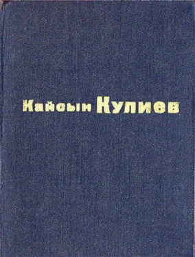 Кайсын Кулиев Раненый камень обложка книги