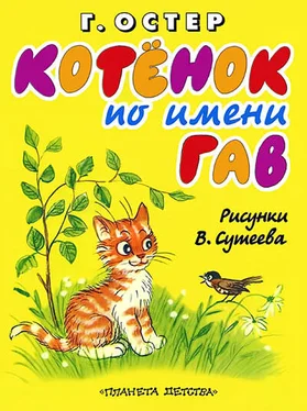 Григорий Остер Котёнок по имени Гав обложка книги