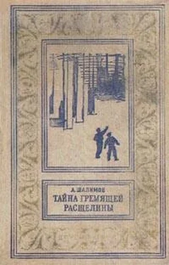 Александр Шалимов Тайна Гремящей расщелины (сборник) обложка книги