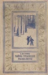 Александр Шалимов - Тайна Гремящей расщелины (сборник)