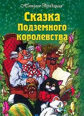 Наталья Городецкая Сказка Подземного королевства обложка книги