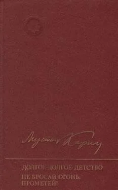 Мустай Карим Не бросай огонь, Прометей! обложка книги