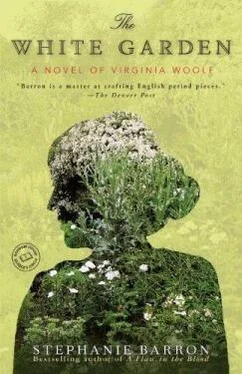 Стефани Баррон The White Garden: A Novel of Virginia Woolf обложка книги