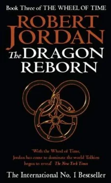 Robert Jordan The Dragon Reborn обложка книги