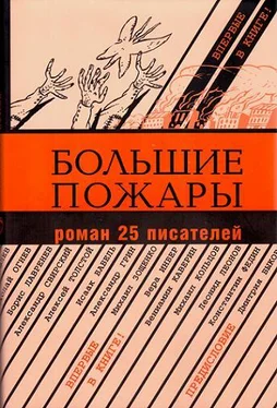 Александр Аросев Большие пожары обложка книги