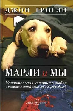 Джон Грогэн Марли и мы обложка книги