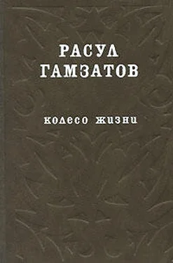 Расул Гамзатов Колесо жизни обложка книги