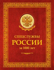Сергей Чуркин - Спецслужбы России за 1000 лет