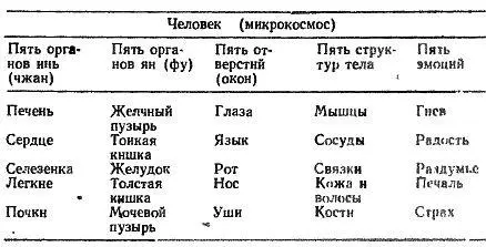 Полые органы тонкая кишка желчный пузырь желудок толстая кишка мочевой - фото 20