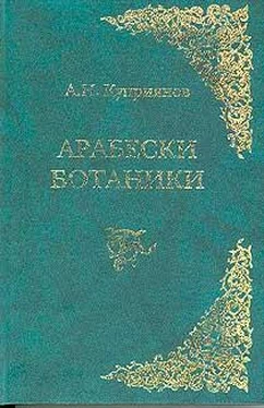 Андрей Куприянов Арабески ботаники обложка книги