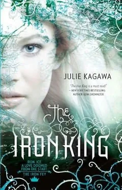 Julie Kagawa The Iron King обложка книги