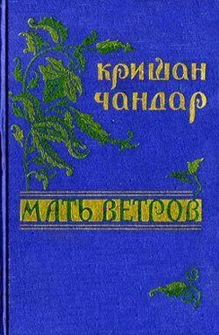 Кришан Чандар Горы обложка книги